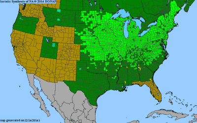How to Tell if a Plant is Native to Your Area