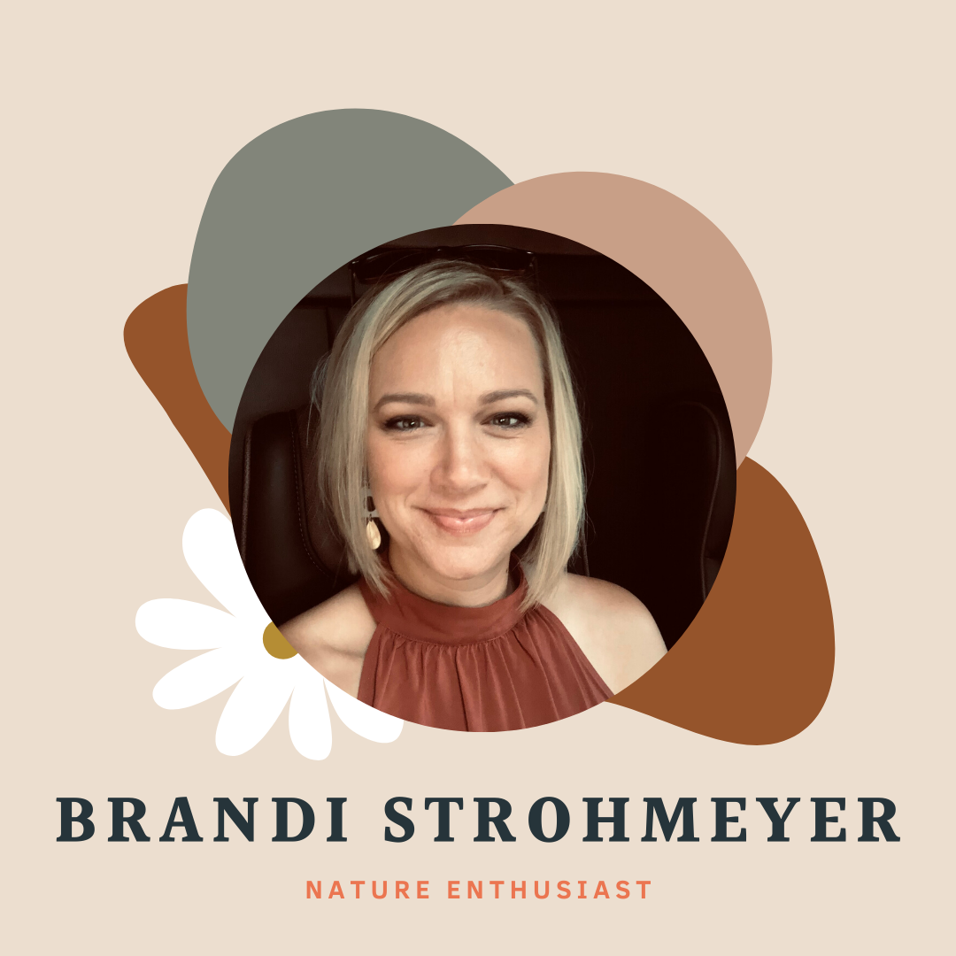 Brandi Strohmeyer Profile Photo Brandi Strohmeyer
